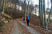 14 Sulla sterrata per il sent. panoramico del Colderu
